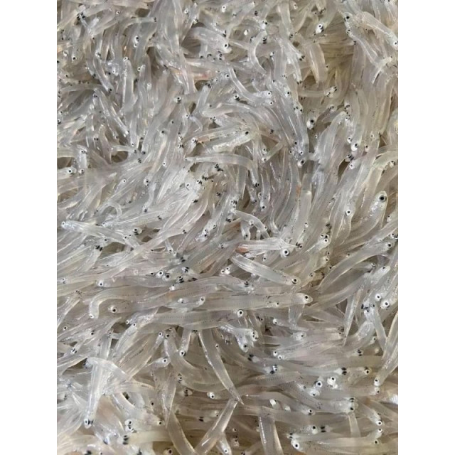 永圻 無鹽生凍吻仔魚