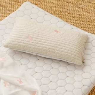BUNNY PAPA 四季用雙面枕頭(多款)
