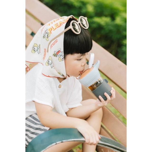 hegen Lifestyle PPSU 隨行輕量水瓶 450ml-巴黎灰