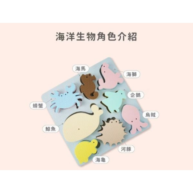 Pato Pato學習拼圖(多款)