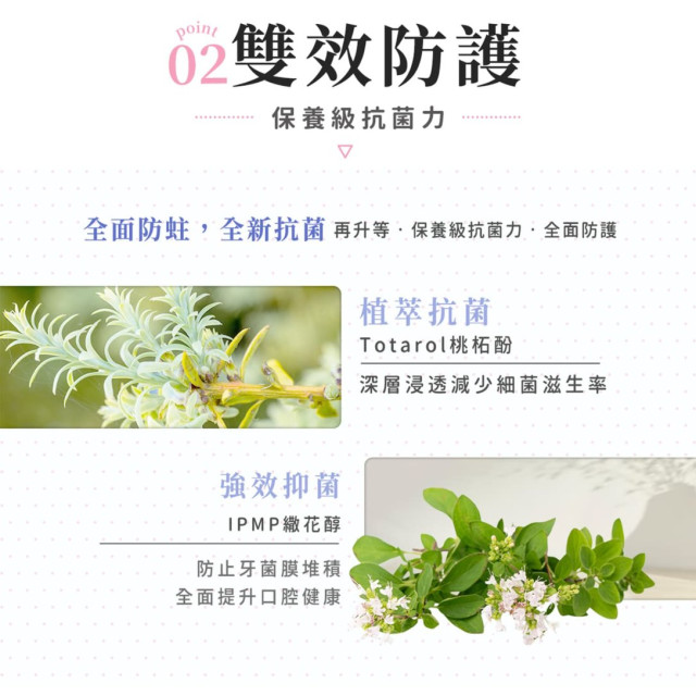 淨淨 兒童專用胺基酸護齒牙膏75G(多款)