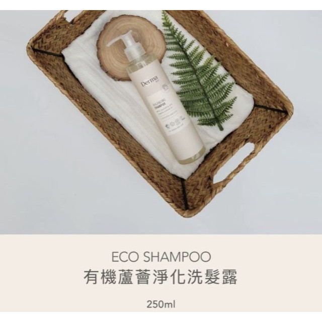 Derma Eco有機蘆薈淨化洗髮露250ml