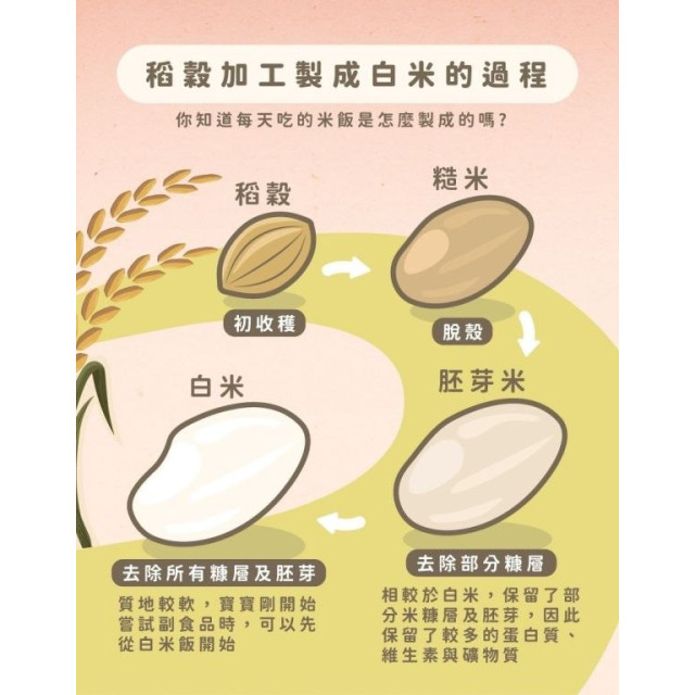 飯友 胚芽寶寶米粥2入/盒(多款)