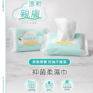 黃金盾 抑菌柔濕巾箱購20抽*24包