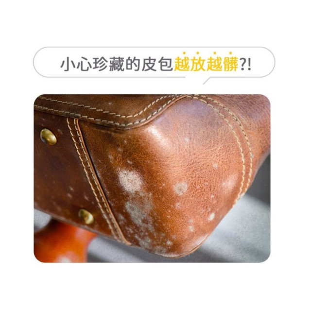 黃金盾 皮革保養護理乳200ML