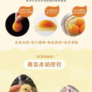 飯友 蛋蛋寶寶粥2包/盒(多款)