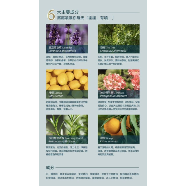 朵妮朵絲 頭皮平衡精粹露30ML