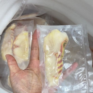 永圻 鱘龍魚一口魚片