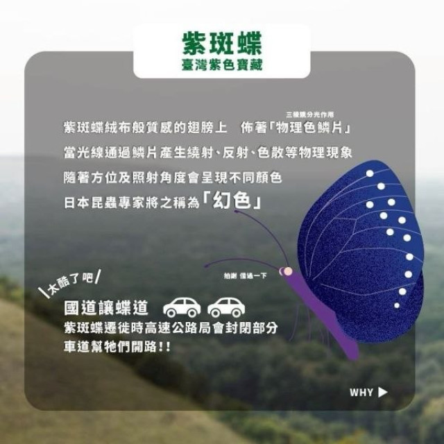 臺北市立動物園 × 100%果園綜合葡萄汁24瓶/箱