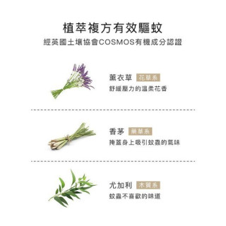 小獅王 薰衣草精油防蚊液-噴霧+補充