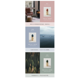 小獅王 蘊蜜鉑金PPSU寬口防脹氣奶瓶270ML(全齡)