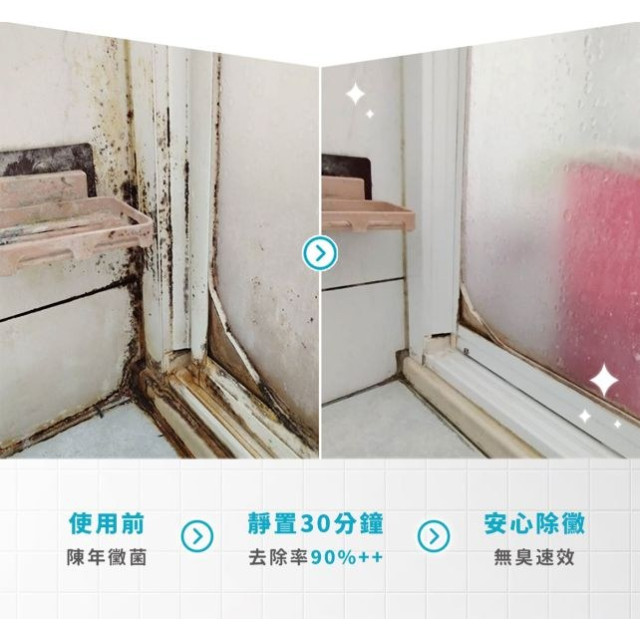 淨淨 速效除黴凝膠150ml