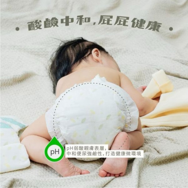 波比 PureBaby植萃抑菌接財褲-箱購黏貼(多款)