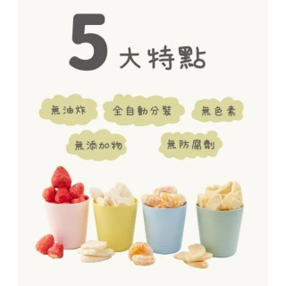 韓爸田園日記 寶寶水果片乾(多款)