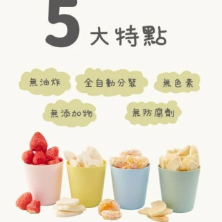 韓爸田園日記 寶寶水果片乾(多款)