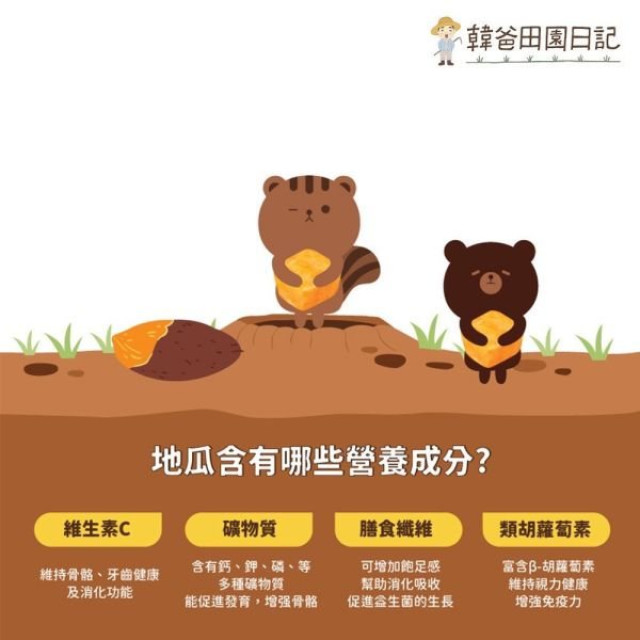 韓爸田園日記 谷谷瑪小地瓜