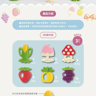 Richell 利其爾 咬咬固齒器(附收納盒)