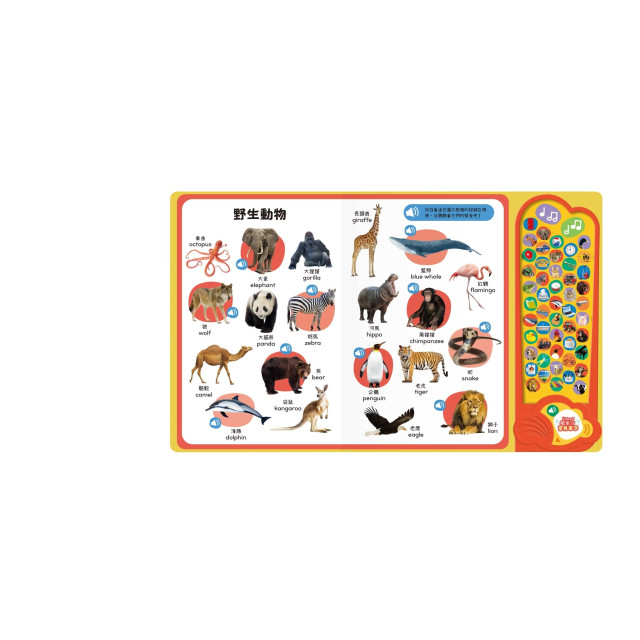 禾流文創 Listen！學會了！(多款)