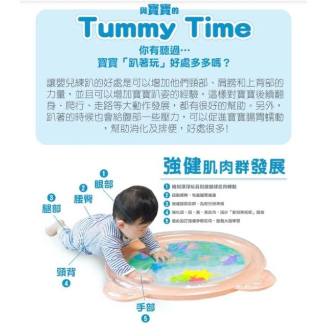 韓國奈比 海底世界趴趴樂