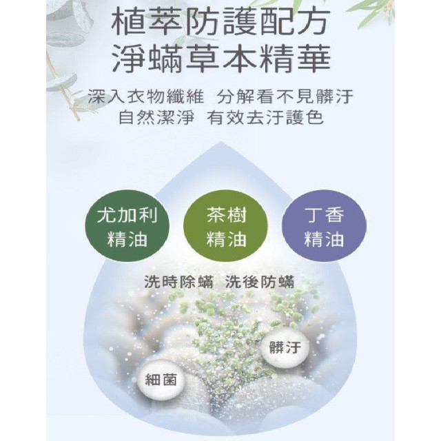 NACNAC 洗衣精-補充包(多款)