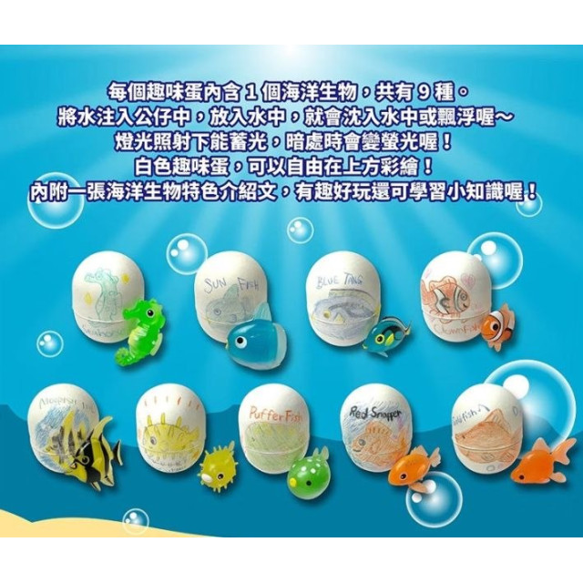 PEOPLE 夜光海洋生物趣味蛋36入
