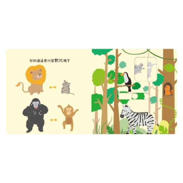 禾流文創 動手滑滑滑