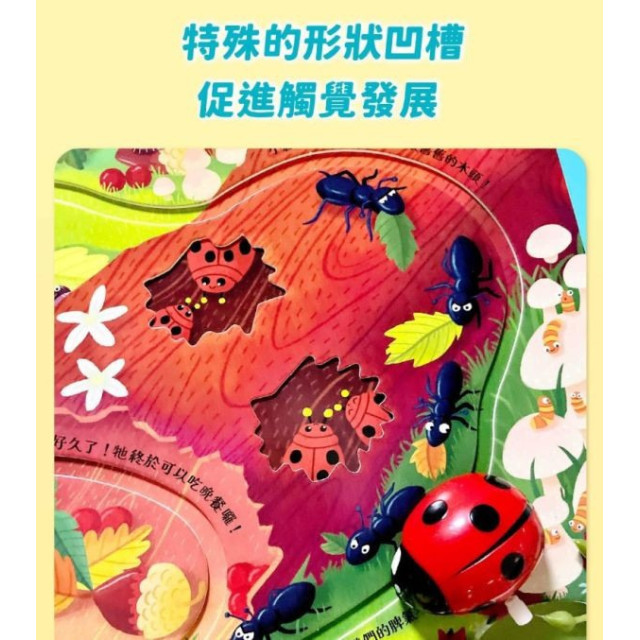 禾流文創 發條小瓢蟲-環遊大花園