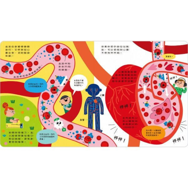 禾流文創 STEAM 科學小教室-人體大冒險