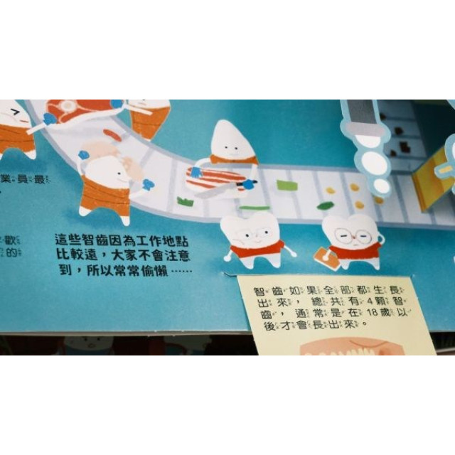 禾流文創 人體知識立體書—歡迎光臨牙齒王國！