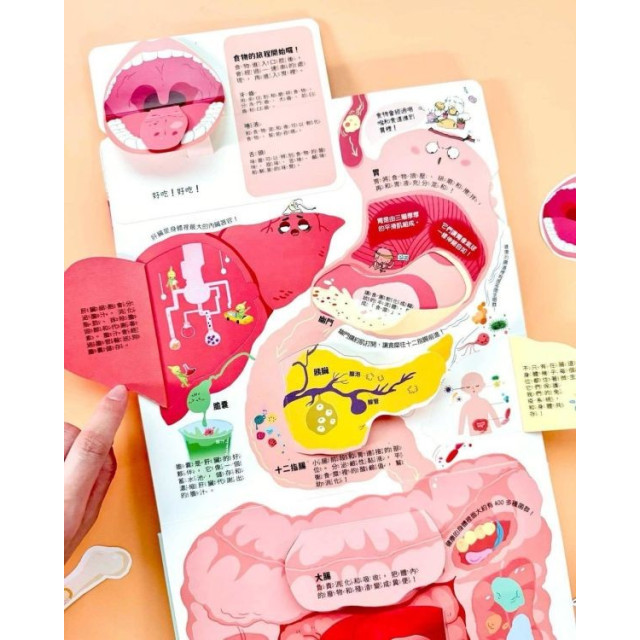 禾流文創 知識立體翻翻書(多款)