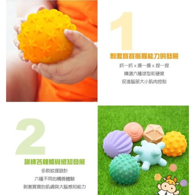 小牛津 5Q寶貝觸覺球 (6入)