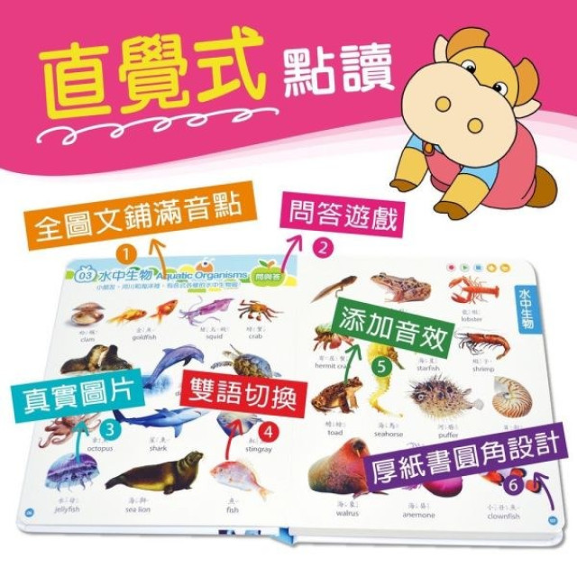 小牛津 黃金升級版48件組全腦開發點讀大寶盒-超商版