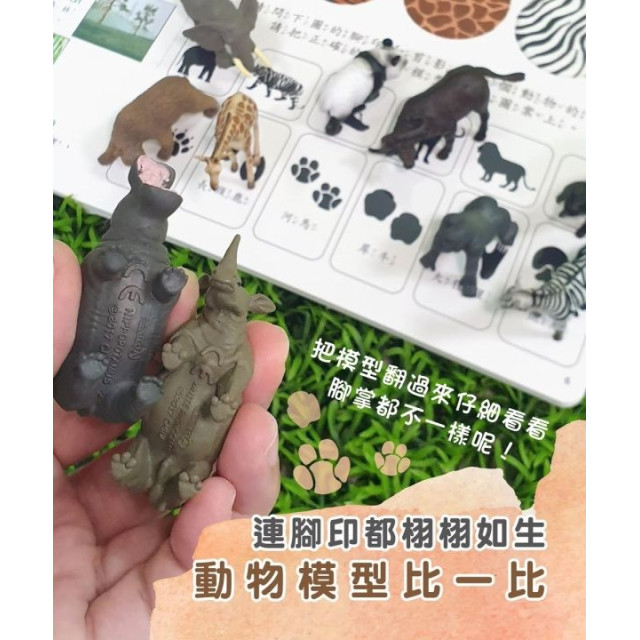 小牛津 自然探索遊戲組合-動物冒險篇