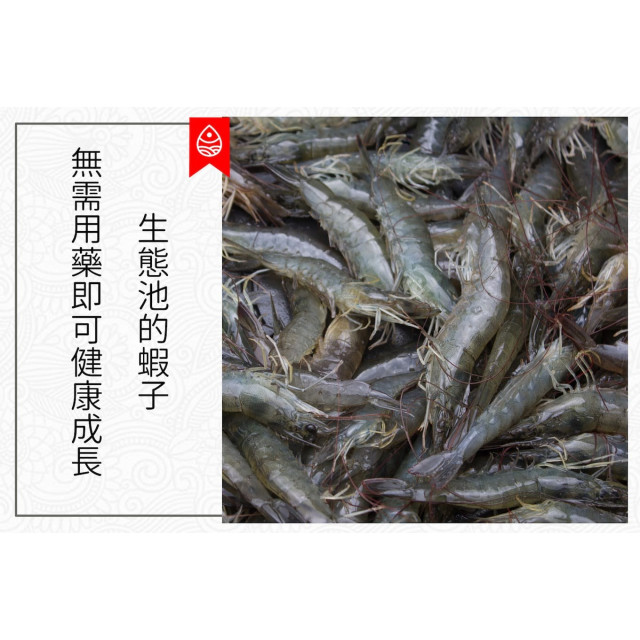 旅居漁村 生態蝦仁-寶寶蝦仁200克