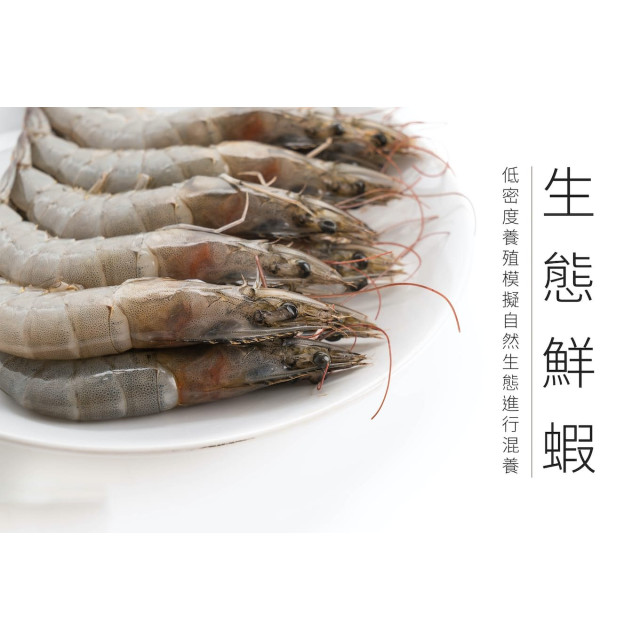 旅居漁村 寶寶鮮蝦水餃275克