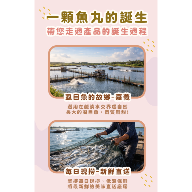 童心好食冷凍 寶寶虱目魚丸