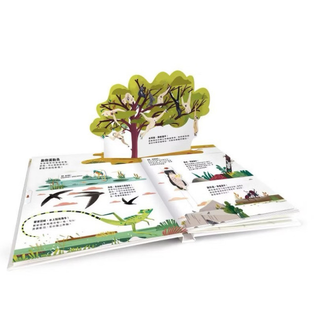 禾流文創 小小知識家動手大發現(多款)