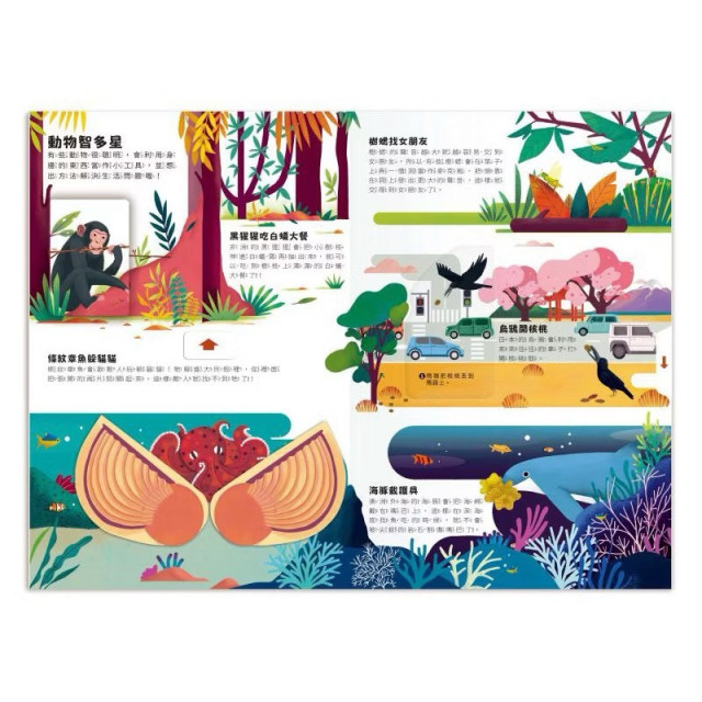 禾流文創 小小知識家動手大發現(多款)