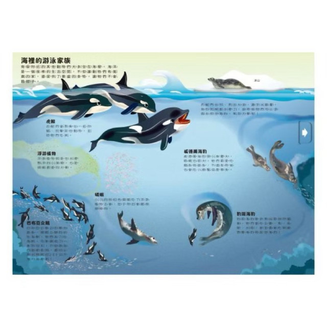 禾流文創 小小知識家動手大發現(多款)