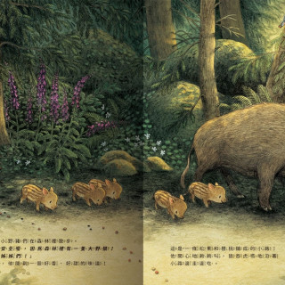 禾流文創 小野豬迷路了