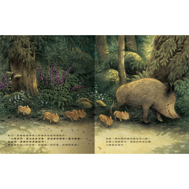 禾流文創 小野豬迷路了
