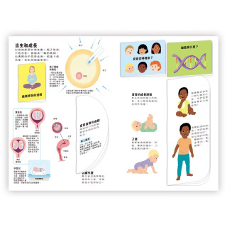 禾流文創 小小知識家動手大發現-人體 Amazing!