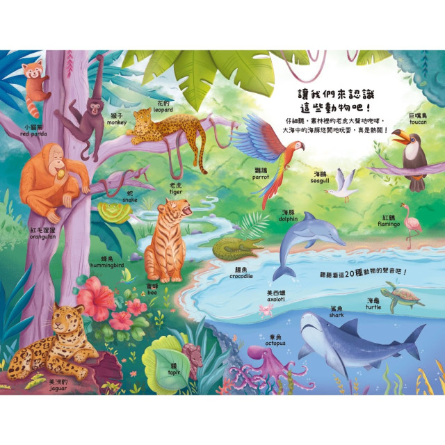 禾流文創 聽見100種聲音(多款)