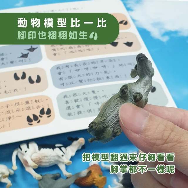 小牛津 自然探索遊戲組合-農場動物篇