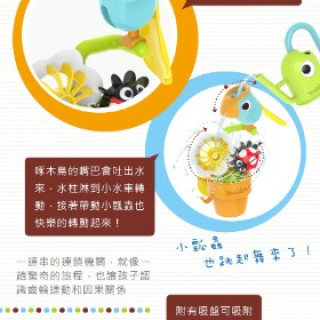 以色列Yookidoo 點頭啄木鳥